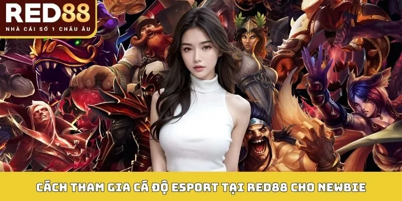 ESPORT 5 Cách tham gia cá độ Esport tại RED88 cho newbie